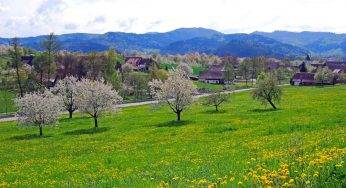 Meraviglie della Germania a primavera: i posti più spettacolari