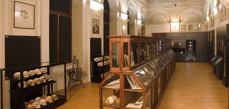 Turin museum guide