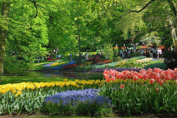 fioriture di primavera