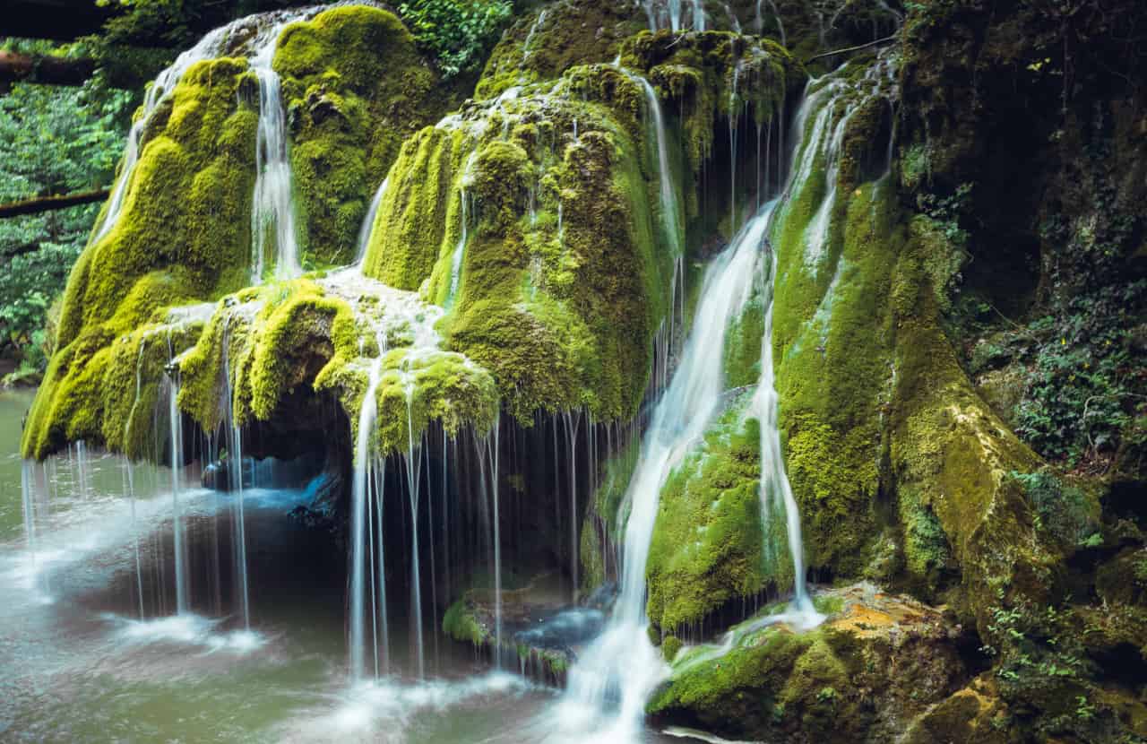 cascata foresta