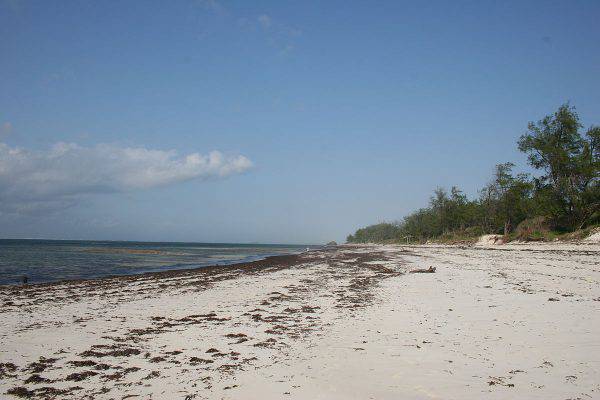 guida viaggio kenya vedere