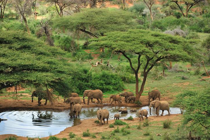 guida viaggio kenya vedere