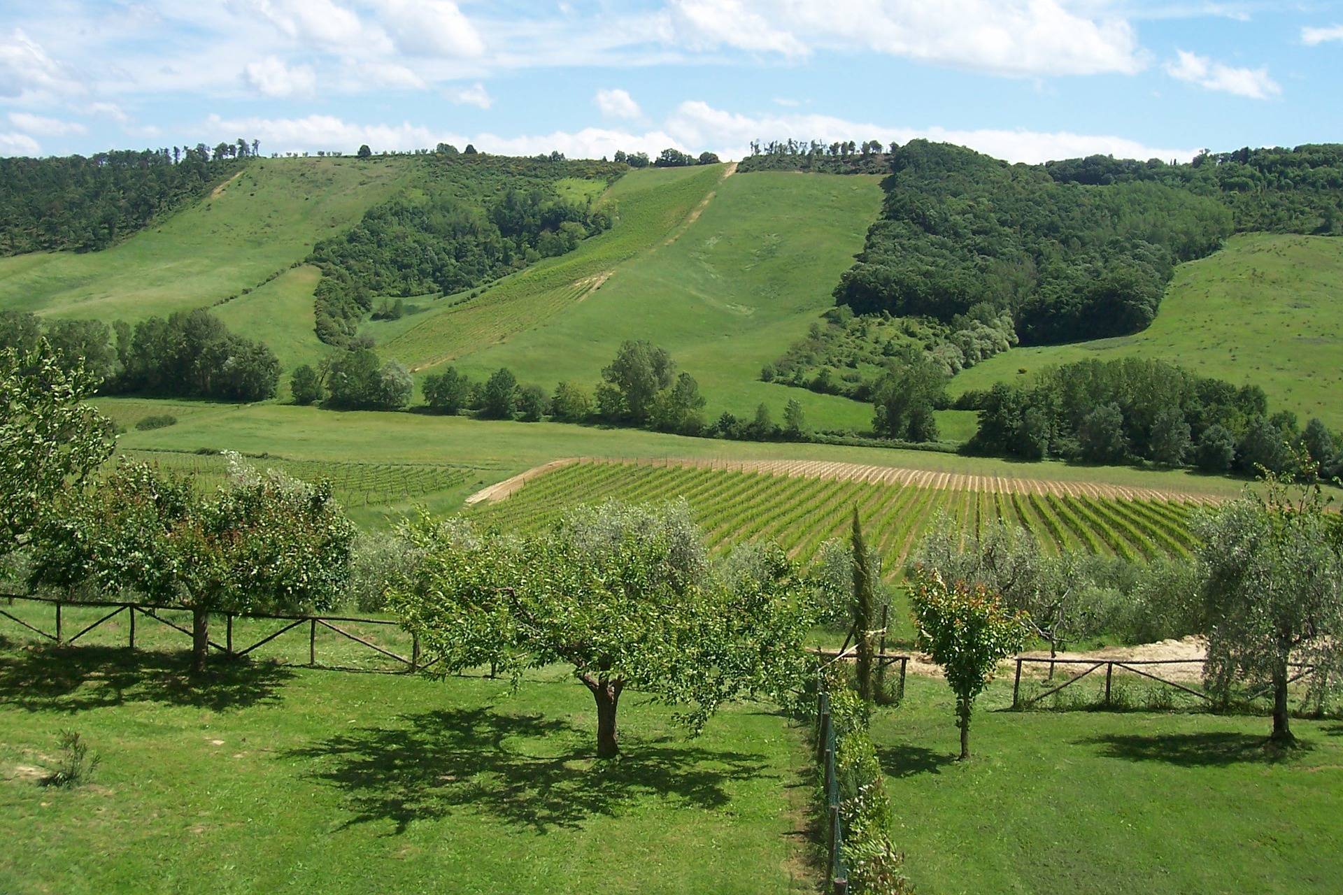 ferragosto 2020 agriturismo