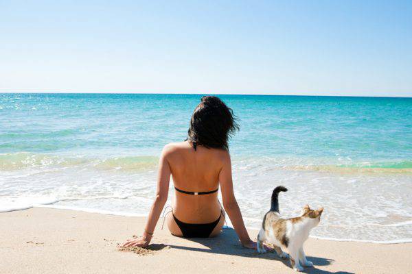 in spiaggia con il gatto