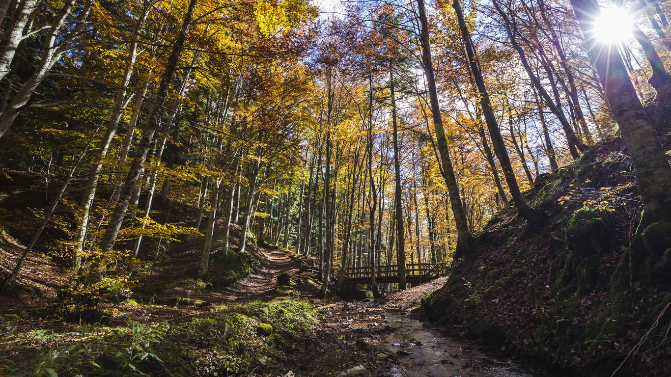 boschi italia passeggiate autunno