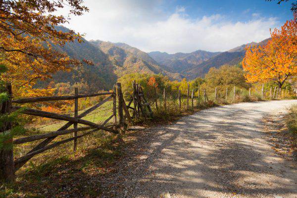 trekking d'autunno