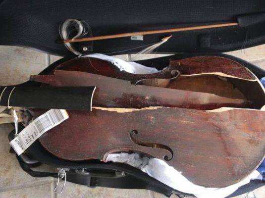 viola-distrutta-alitalia