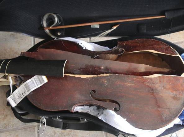 viola-distrutta-alitalia