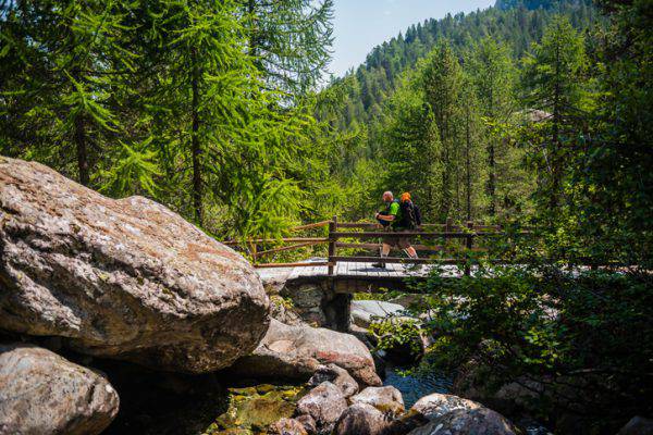 passeggiate-natura-bosco-stress