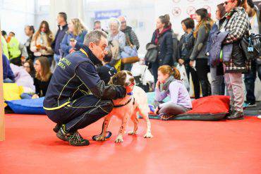 quattrozampeinfiera-roma-2018-eventi (2)