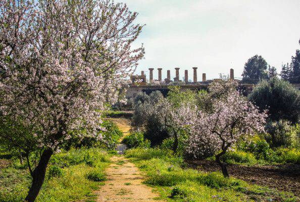 fioriture di primavera