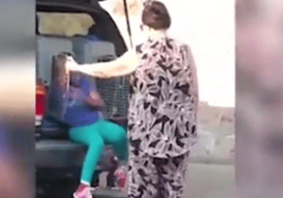 Mette i nipoti nei trasportini per cani nel portabagagli, arrestata la nonna - Video