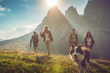 ferragosto-2018-cane-montagna-dove-andare