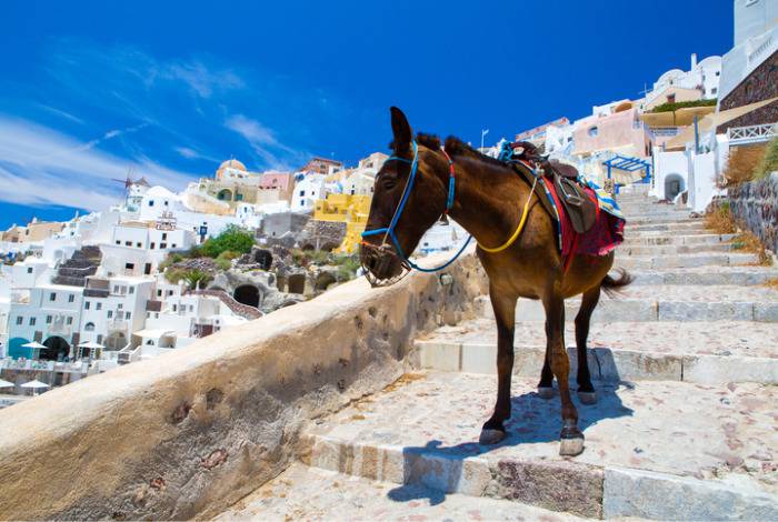 santorini asini turisti