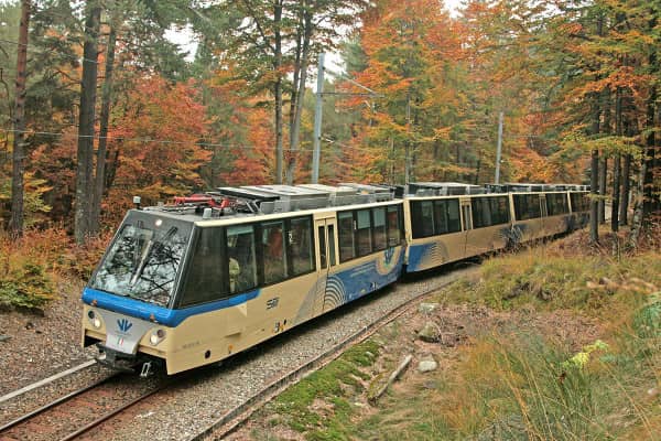 trenino del foliage