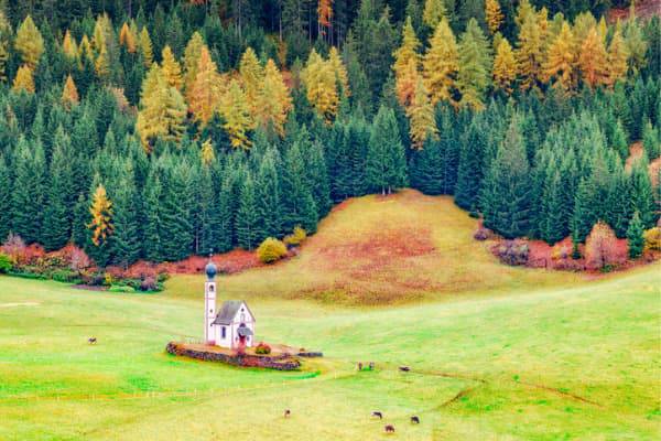 Natura In Autunno Lo Spettacolo Del Paesaggio Che Cambia