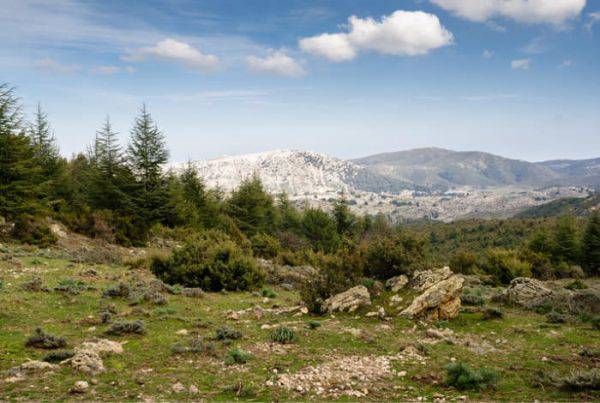 trekking d'autunno