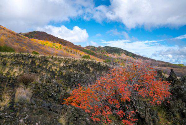 trekking d'autunno