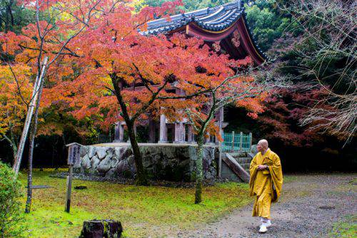 Momijigari giappone foliage autunno