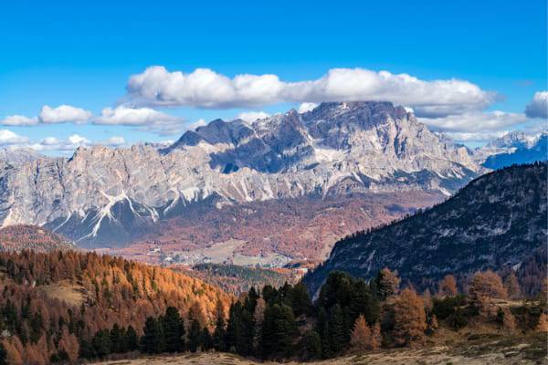 foliage in trentino