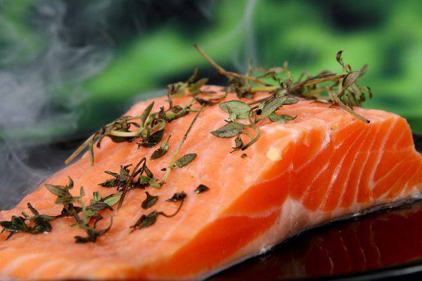 salmone-alimento-cool-estate