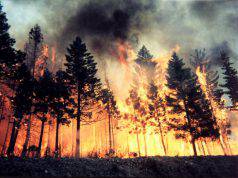 Incendio sul Col Rosà