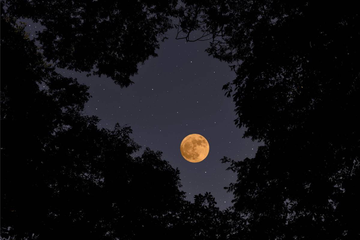 cielo di luglio 2019