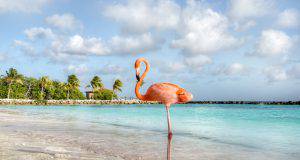 Isole per le vacanze estive 2019