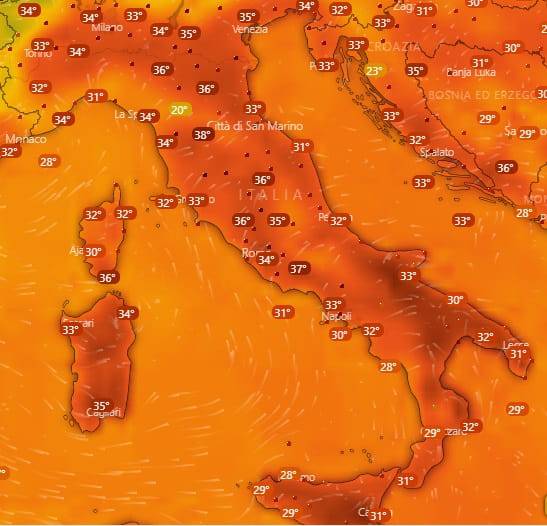 temperature agosto 2019