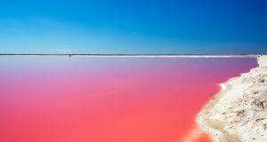 lago hillier rosa australia