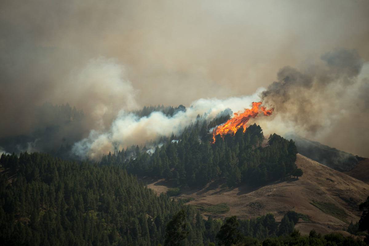 incendio a gran canaria