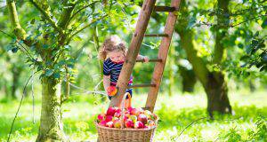 meteo-estate-settembrina-cosa-è
