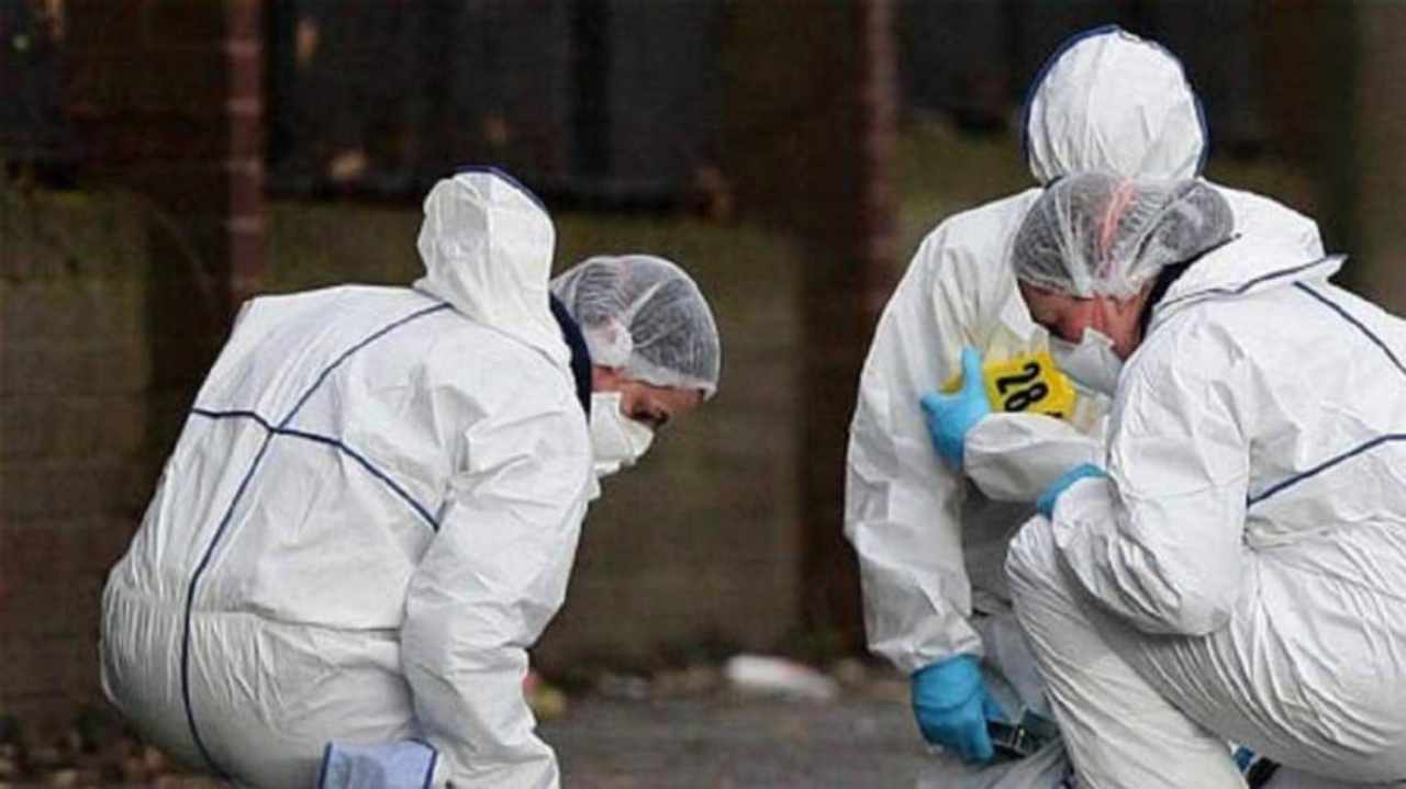 https://www.viagginews.com/wp-content/uploads/2019/10/polizia-scientifica-1.jpg https://www.viagginews.com/wp-content/uploads/2019/10/polizia-scientifica-1.jpg