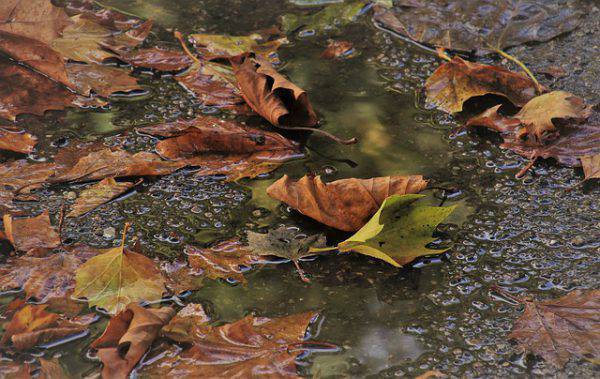 meteo-31-ottobre-2019