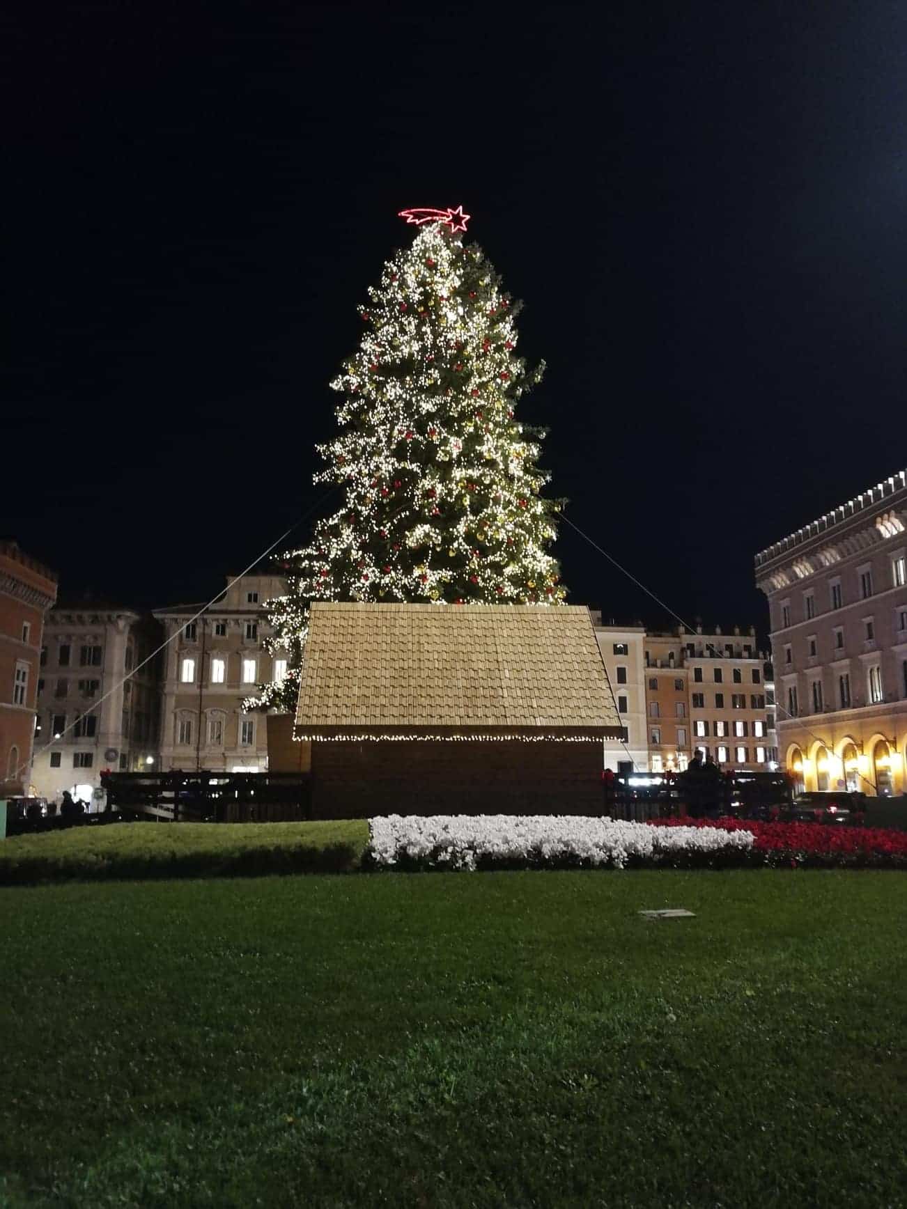 alberi di natale 2019