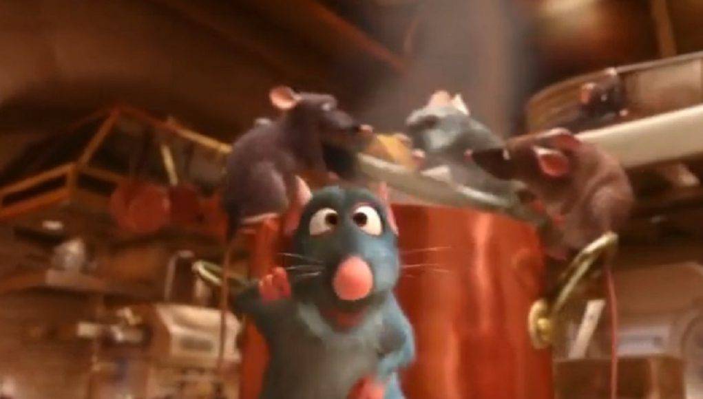 Come Si Chiama Il Topo Di Ratatouille