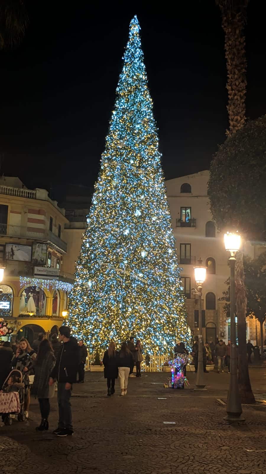 alberi di natale