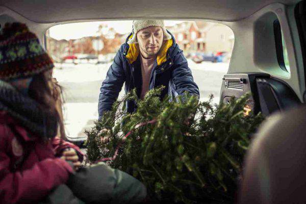 albero-natale-come-trasportare-auto (2)