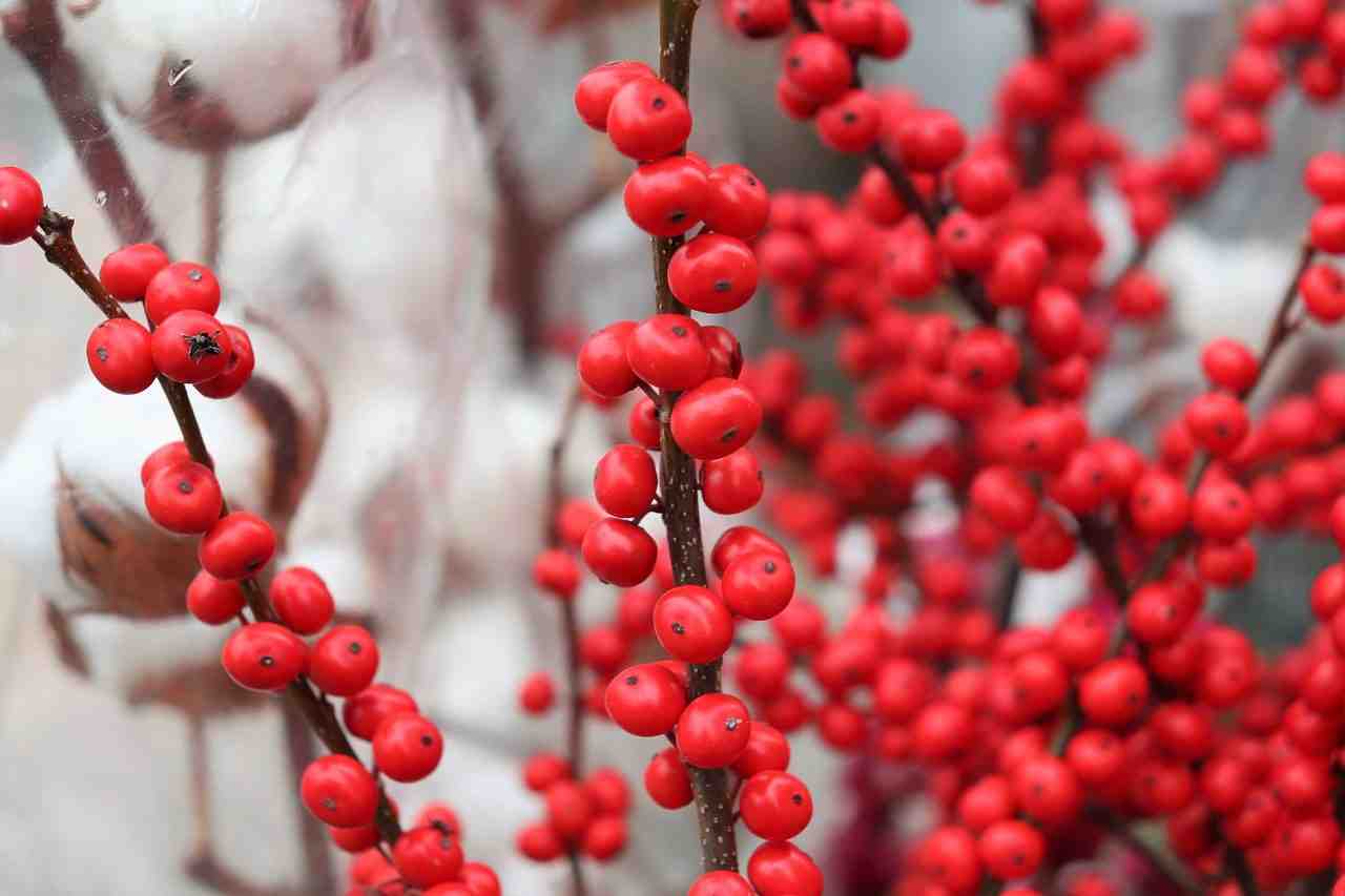 https://www.viagginews.com/wp-content/uploads/2019/12/natale-2019-regali-pi%C3%B9-apprezzati-2.jpg https://www.viagginews.com/wp-content/uploads/2019/12/natale-2019-regali-pi%C3%B9-apprezzati-2.jpg