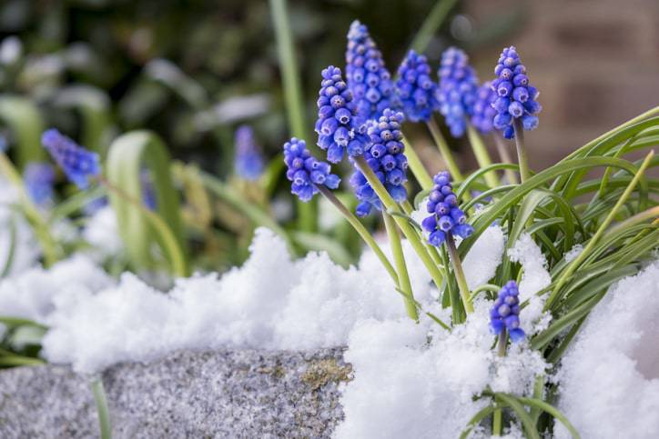 meteo inverno 2020