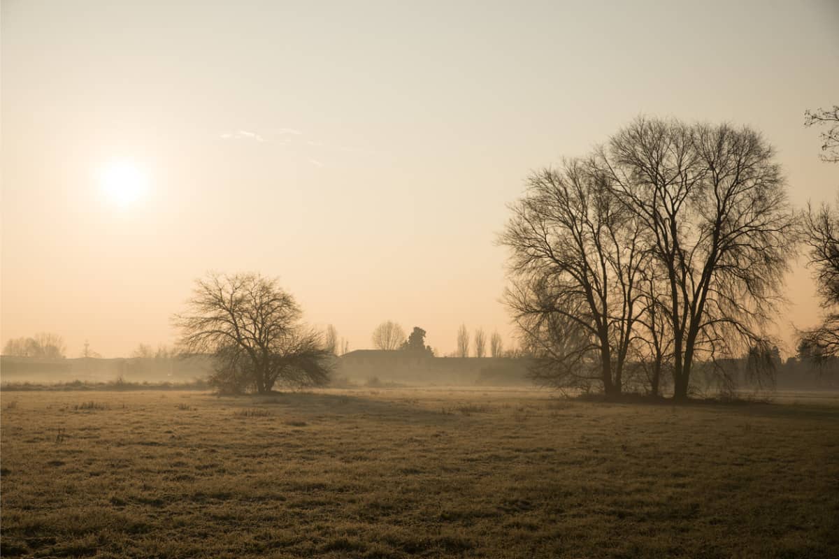 meteo weekend gennaio