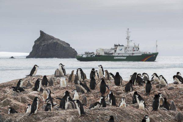 greenpeace-allarme-pinguini-antartico