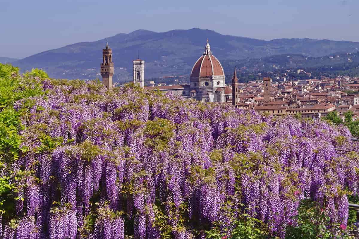 grandi giardini italiani treno