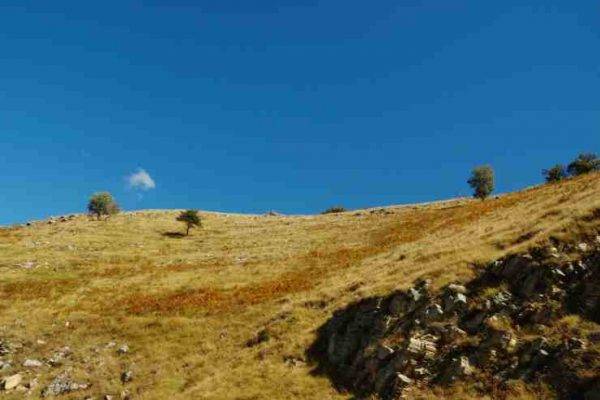 mete-liguria-vacanze-solitarie-dopo-coronavirus (1)