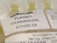 Medico morto: guarito dal Coronavirus col plasma, ma gravi i danni Medico morto: guarito dal Coronavirus col plasma, ma gravi i danni