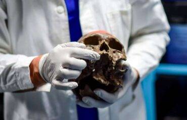 ossa umane ritrovate