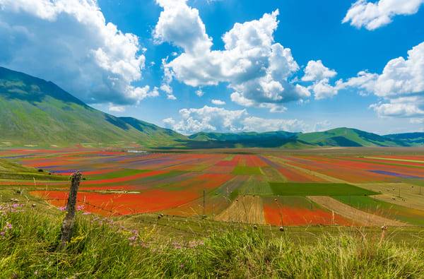 castelluccio di norcia