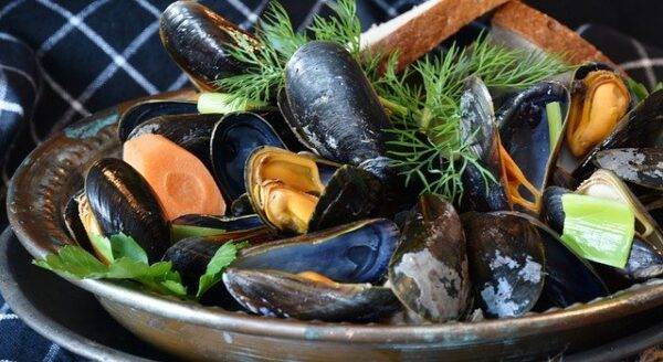 Come riconoscere le cozze fresche Frutti di mare freschi, come riconoscerli?