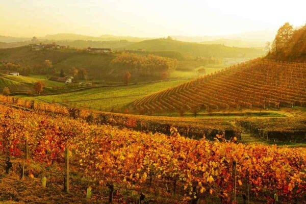 foliage piemonte