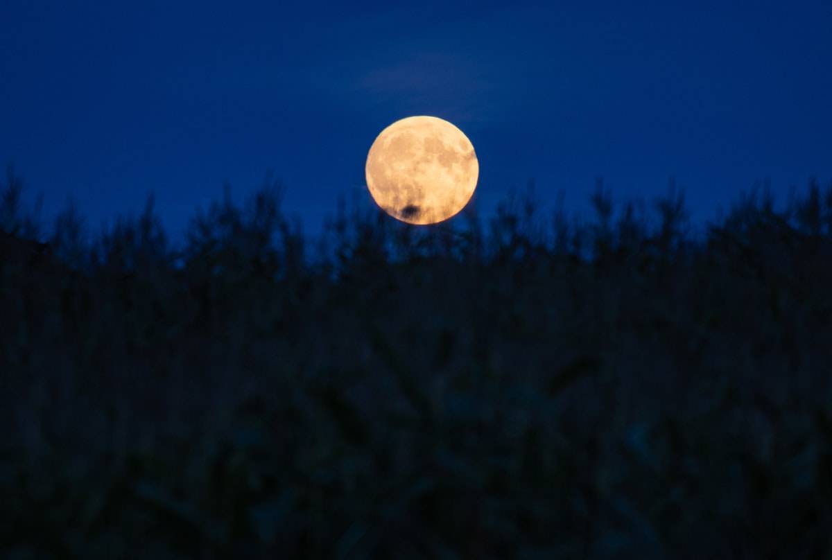 luna piena mais